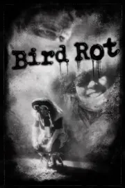 Bird Rot