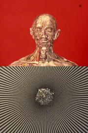 El mensaje es facial