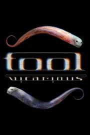 Tool - Vicarious