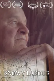 Snowy Labour