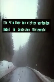 Ein Film über den dichter werdenden Nebel im deutschen Winterwald