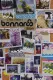 Live From Bonnaroo 2009