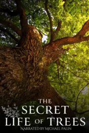 The Secret Life of Trees