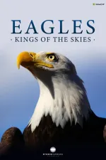 Eagles - Kings of the skies