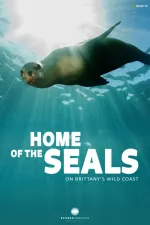 Home of the seals: On Brittanny's wild coast