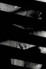 Window of the World Part 1: Hairstyle Colidascope