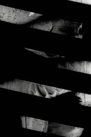 Window of the World Part 1: Hairstyle Colidascope