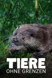 Tiere ohne Grenzen
