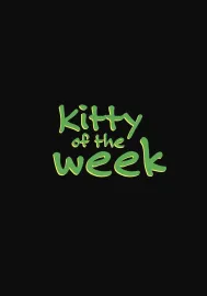 Kitty of the Week