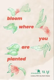 Bloom Where You Are Planted