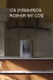 Os pássaros mudam de cor