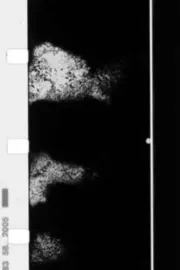 He Was Born, He Suffered, He Died