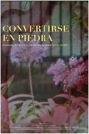 Convertirse en piedra