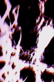 TASMANIAN SPLINTERING