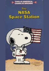 The NASA Space Station