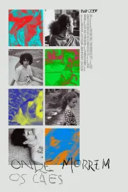 Onde Morrem os Cães