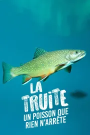 La truite, un poisson que rien n'arrête