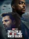 The Falcon and the Winter Soldier-The Spence Edit