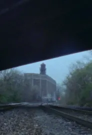 YA SE VEN LOS TIGRES EN LA LLUVIA