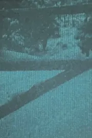 Tortured Dust Part 1