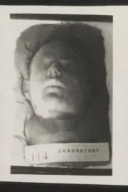 Cesare Lombroso - Sull'odore del garofano