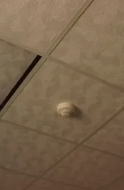 Hotel Diaries: Dirty Pictures