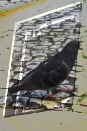 não tenho dormido muito mas continuo sonhando a cada piscada