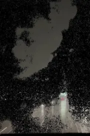 It Will Come Back One Way or Another