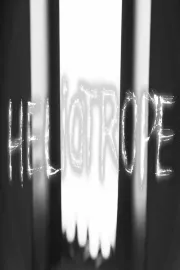 Héliotrope