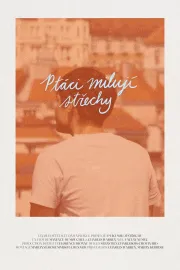 Ptáci milují střechy