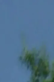 Untitled #44 (nightwatch)