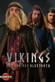 Vikingové - vzestup a pád vikingské říše