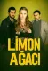 Limon Ağacı