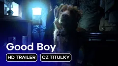 Good Boy: trailer