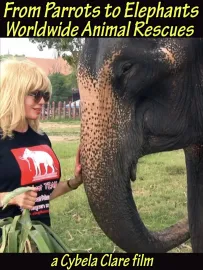 From Parrots to Elephants: Worldwide Animal Rescues