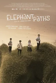 Elephant Paths