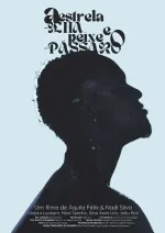 A Estrela-ilha e o Peixe-pássaro