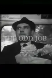 The Odd Job