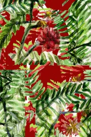 Una idea de la vida cotidiana