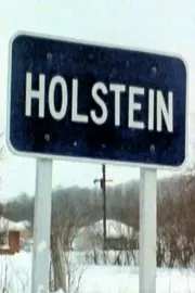 Holstein