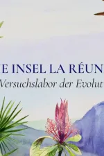 Ostrov Réunion: Hřiště evoluce