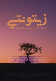 What happened to my Olive Tree?