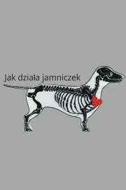 Jak dziala jamniczek
