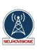 Neurovisione