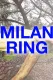 Milan Ring Reeperbahn Festival 2024