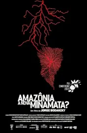 Amazônia, a Nova Minamata?