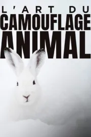 L'art du camouflage animal