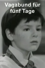 Vagabund für fünf Tage