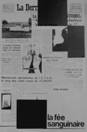 Le sexe enragé de la fée sanguinaire