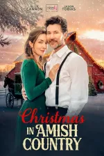 A Christmas in Amish Country